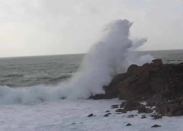 호텔 Campomar 3*** Superior